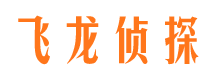 洛扎寻人公司